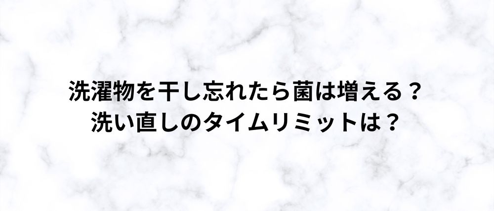 洗濯物を干し忘れたら菌は増える？ 洗い直しのタイムリミットは？